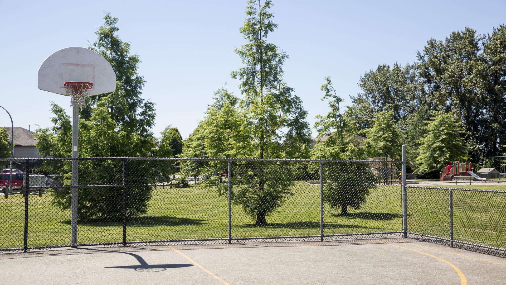 A few trees site outside the fence of the parks sport court.